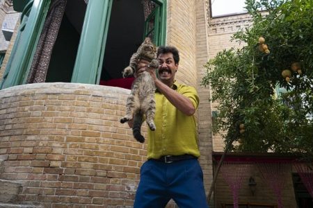 یک کمدی فانتزی در «سال گربه» با بهرام افشاری