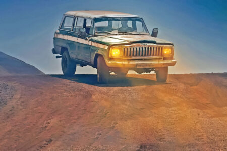 شروع موفق «وحشی»